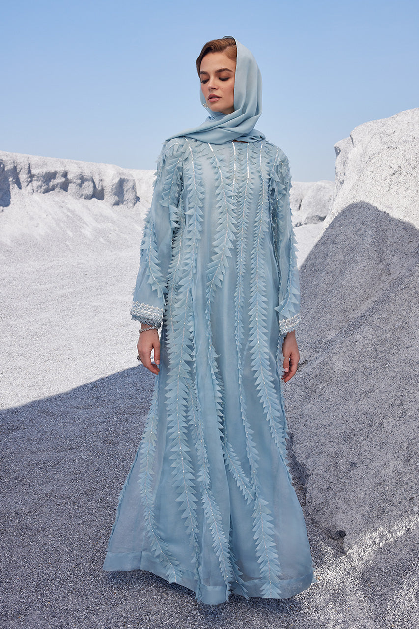 Pakistani Light Blue Embellished Organza Kaftan (2-Piece) - Image 4