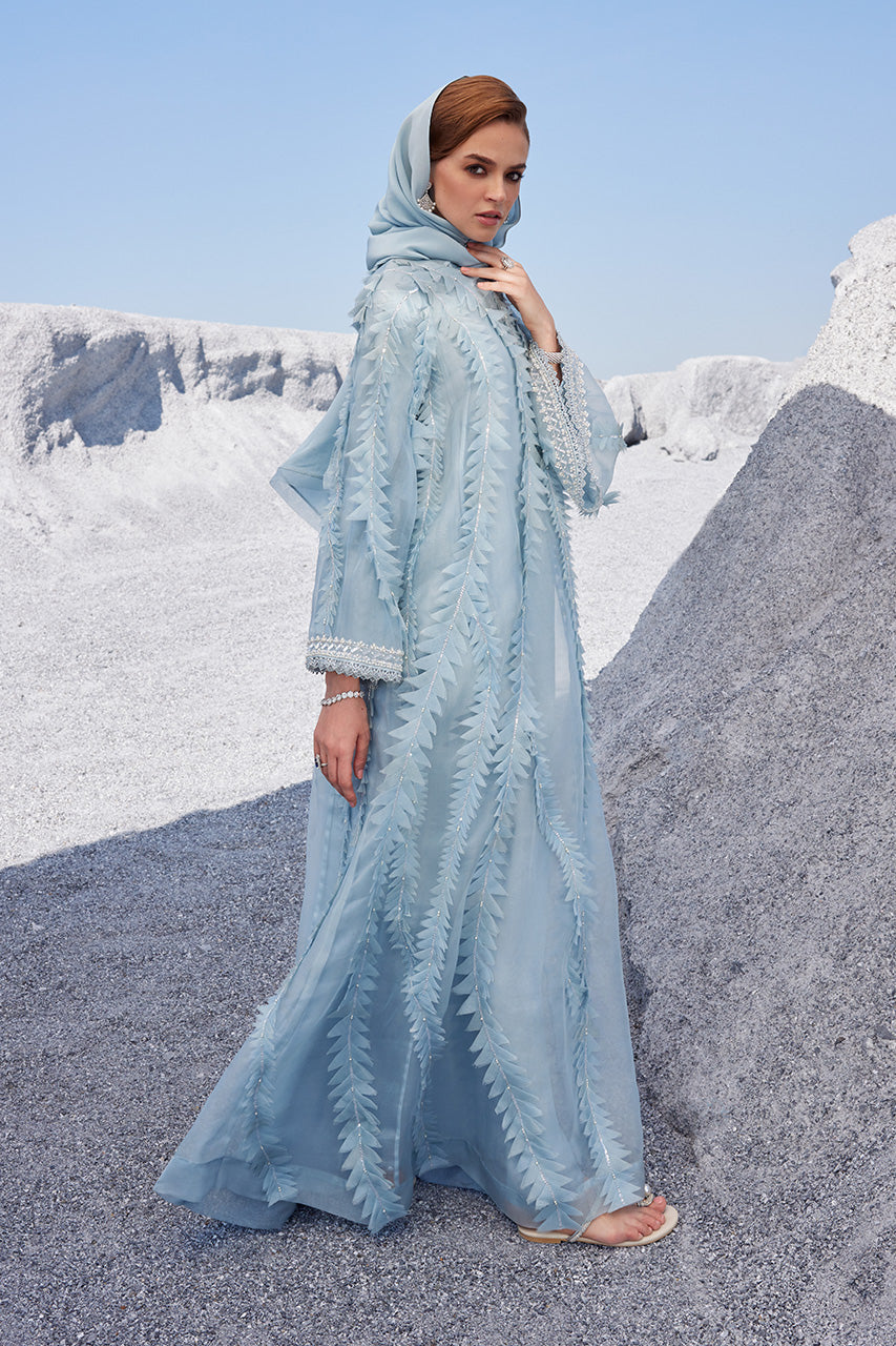 Pakistani Light Blue Embellished Organza Kaftan (2-Piece) - Image 5