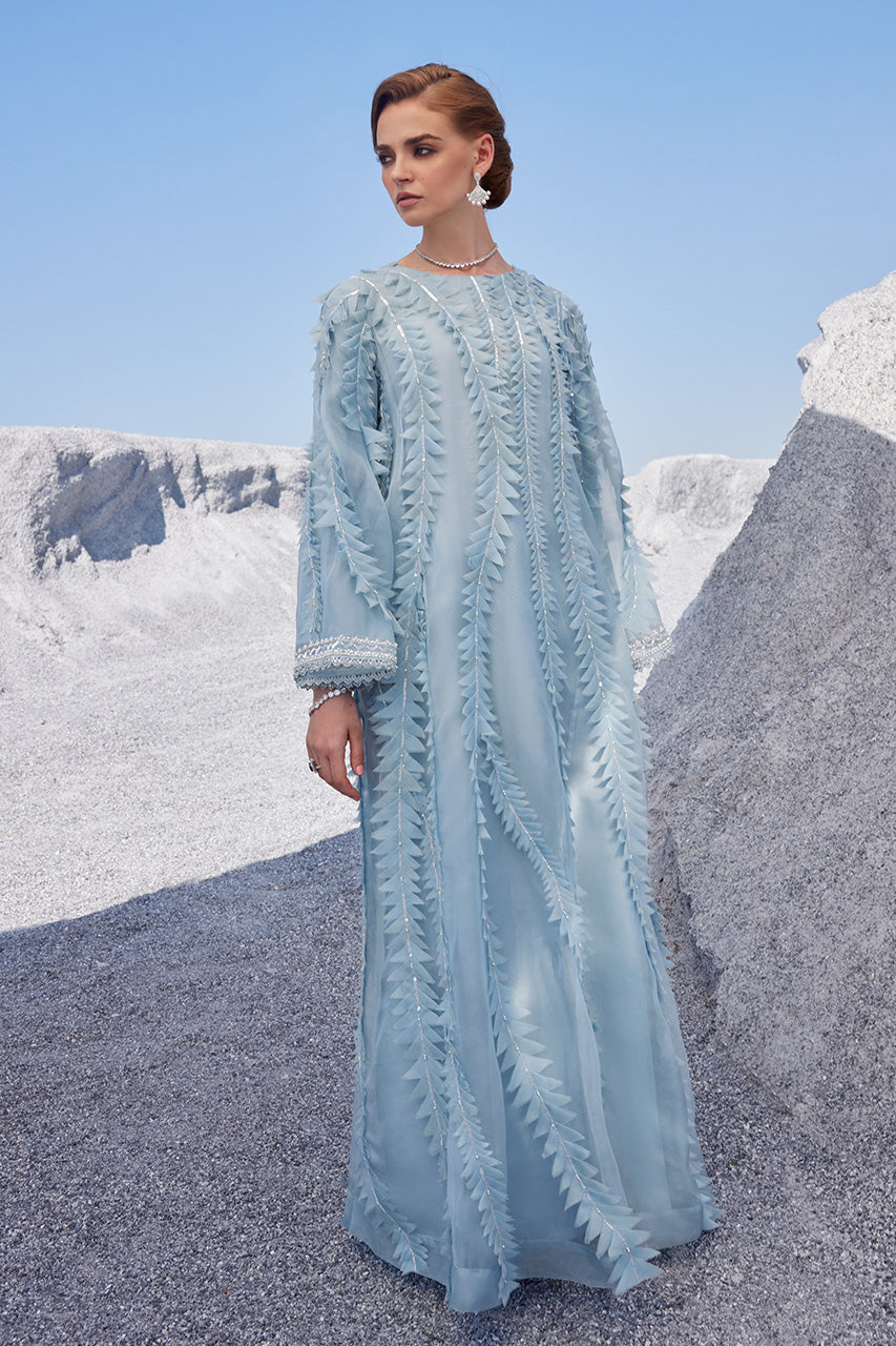 Pakistani Light Blue Embellished Organza Kaftan (2-Piece) - Image 6