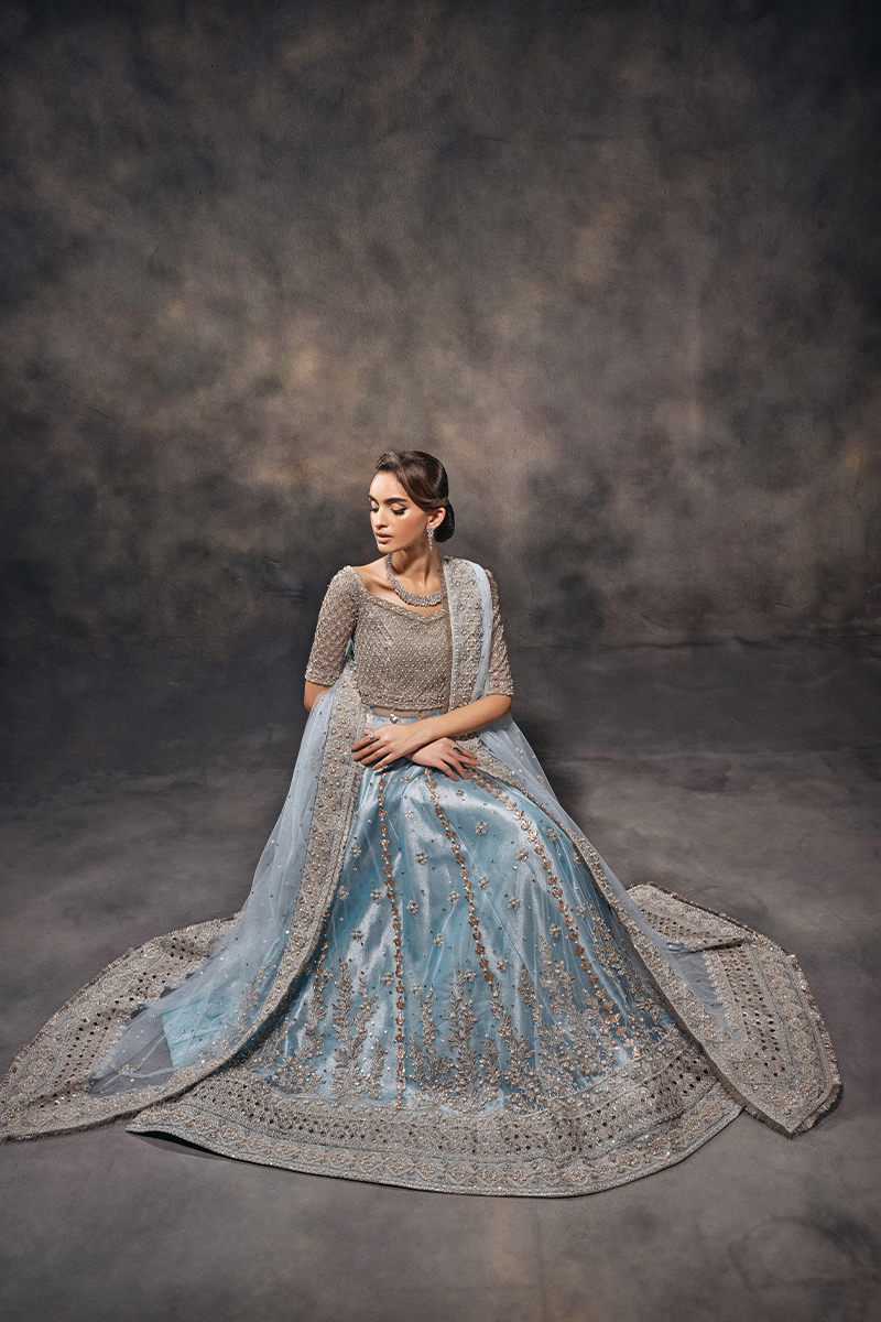 Indian Sky Blue Hand-Embellished Tulle Zari Kalidar Lehenga (3-Piece) - Image 5