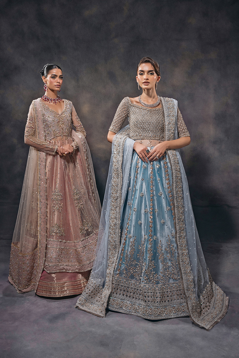Indian Sky Blue Hand-Embellished Tulle Zari Kalidar Lehenga (3-Piece) - Image 9