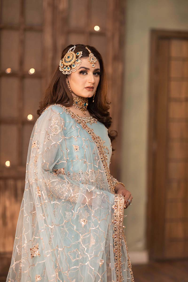 Pakistani Powder Blue Embellished Net Maxi Dress (3-Piece) - Image 7