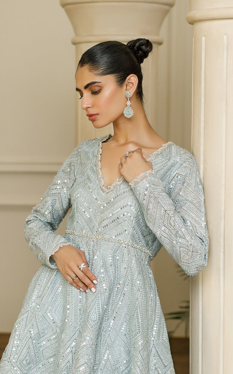 Pakistani Sky Blue Embroidered Organza Peplum Dress (2-Piece) - Image 4
