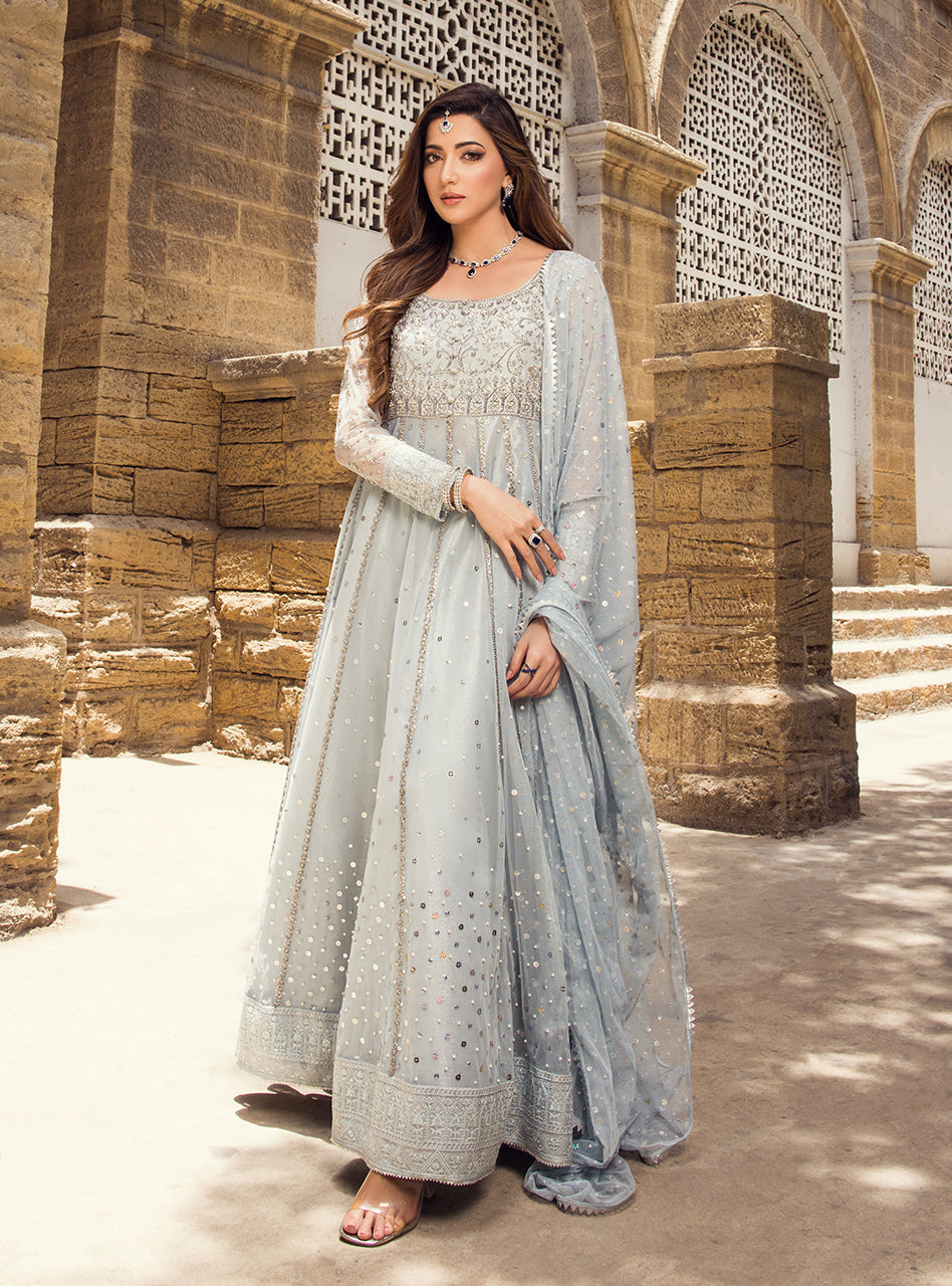 Pakistani Ice Blue Embroidered Net Viscose Silk Pishwas (3-Piece) - Image 3