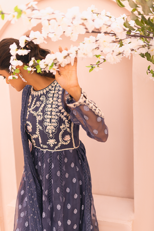 Graphite Blue Embroidered Organza Pishwas (2-Piece) - Image 4