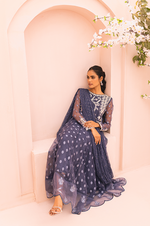 Graphite Blue Embroidered Organza Pishwas (2-Piece) - Image 5