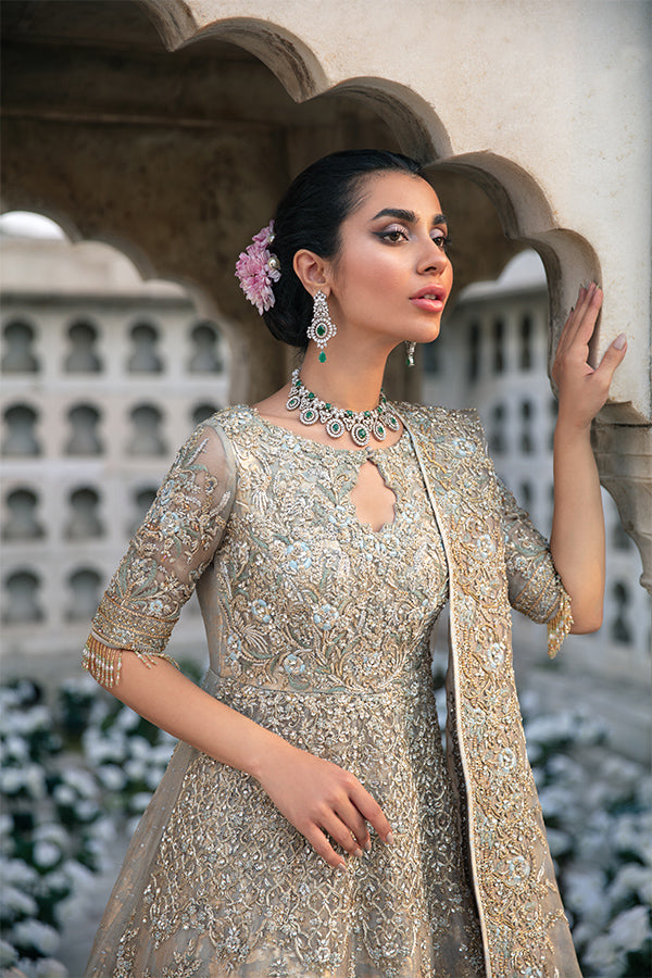 Pakistani Powder Blue Embellished Zari Net Pishwas (3-Piece) - Image 4