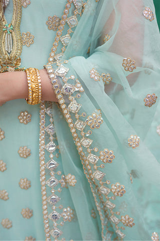 Sky Blue Embroidered Chiffon Crush Salwar Kameez (3-Piece) - Image 6