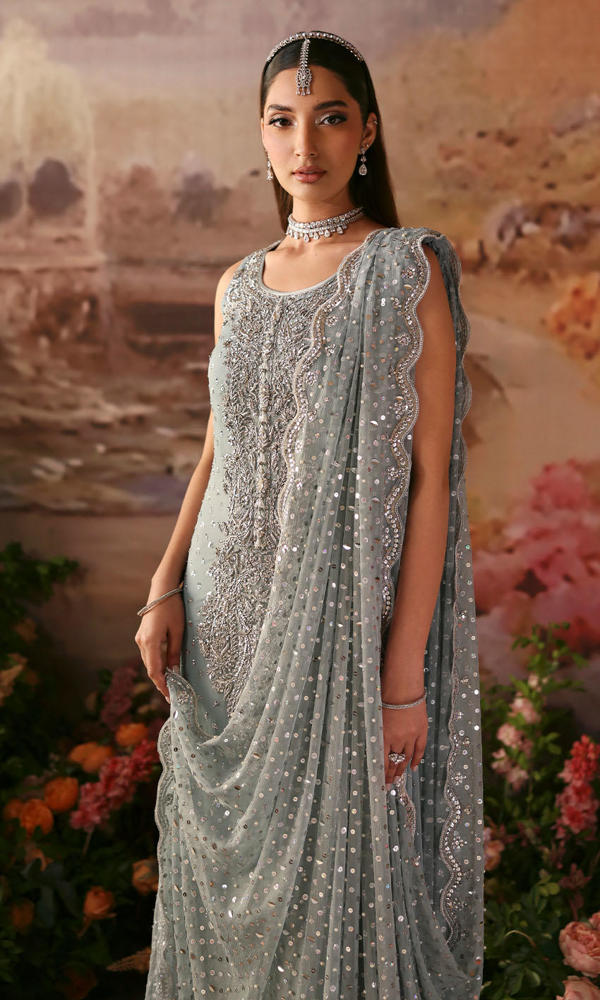 Pakistani Powder Blue Embellished Chiffon Salwar Kameez (3-Piece) - Image 6