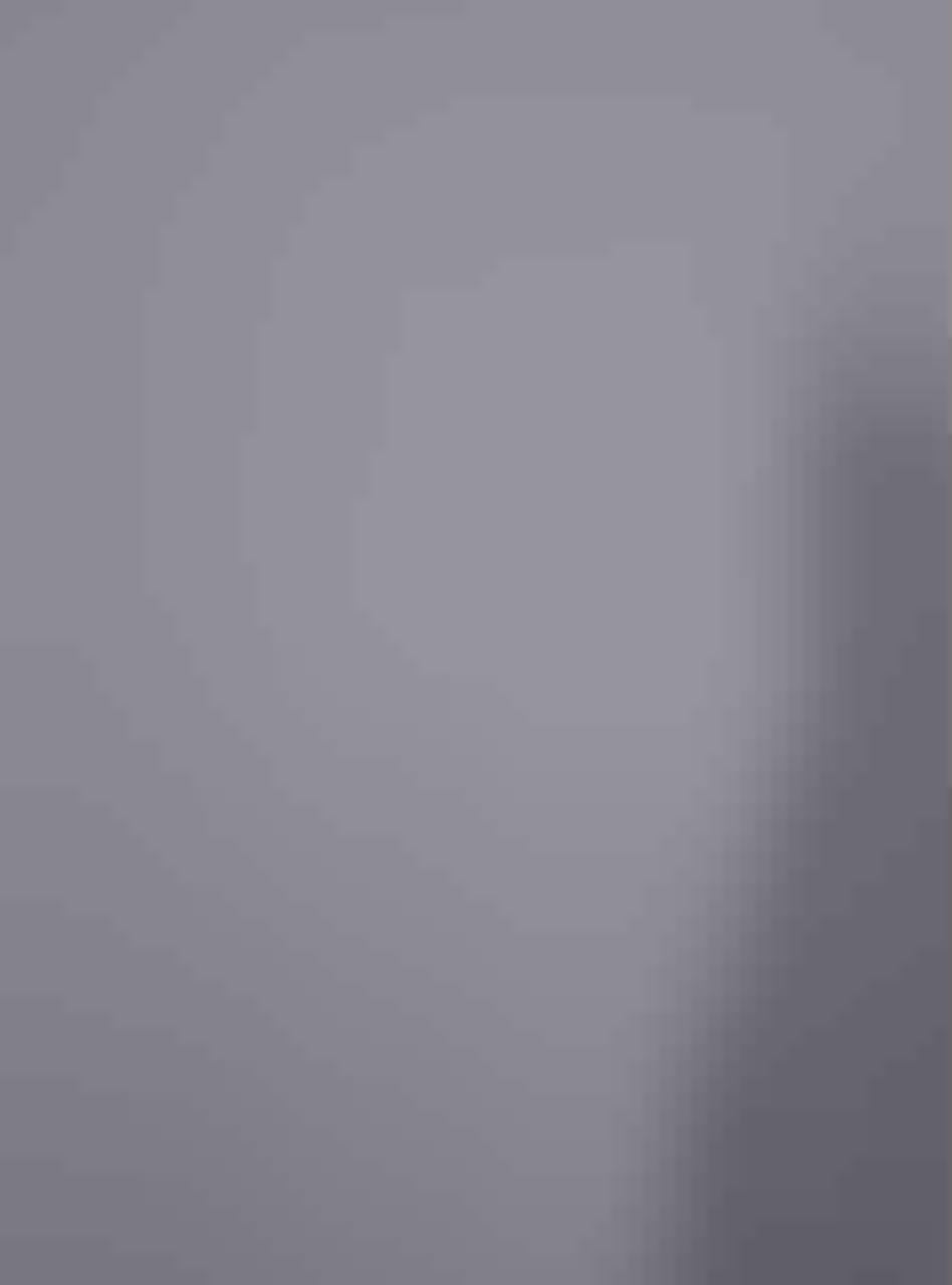 Pakistani Ice Blue & Lilac Embroidered Chiffon Salwar Kameez (3-Piece) - Image 5