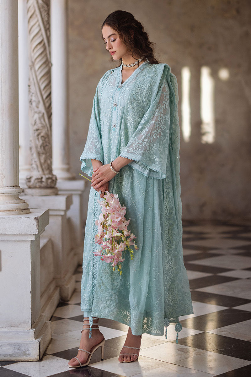 Aqua Chikankari Cotton Net Salwar Kameez (3-Piece) - Image 3