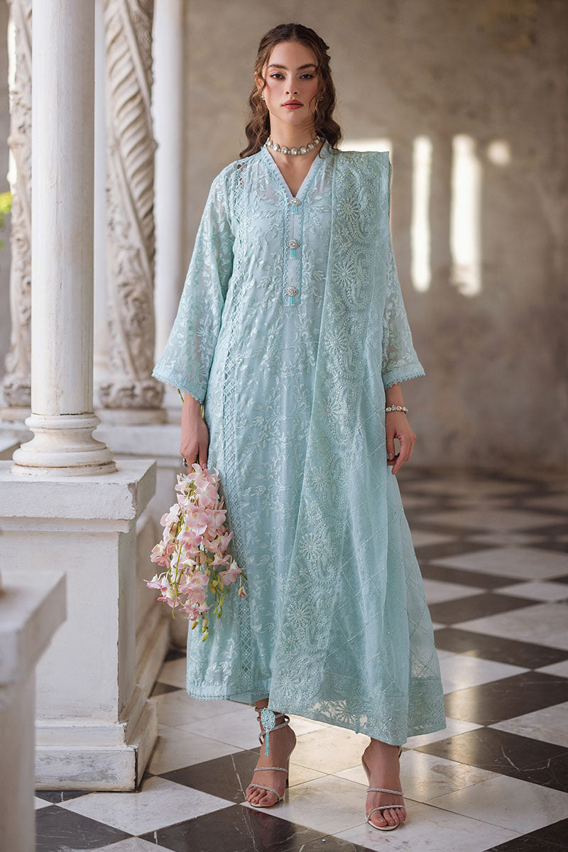 Aqua Chikankari Cotton Net Salwar Kameez (3-Piece) - Image 5