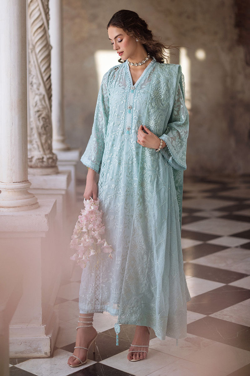 Aqua Chikankari Cotton Net Salwar Kameez (3-Piece) - Image 9