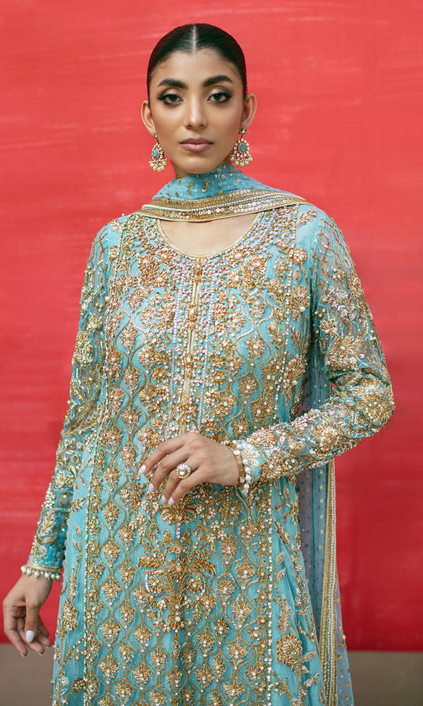Blue Embroidered Net Salwar Kameez (3-Piece) - Image 3