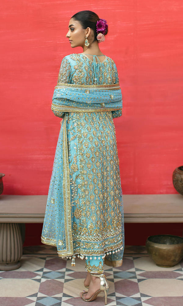 Blue Embroidered Net Salwar Kameez (3-Piece) - Image 4
