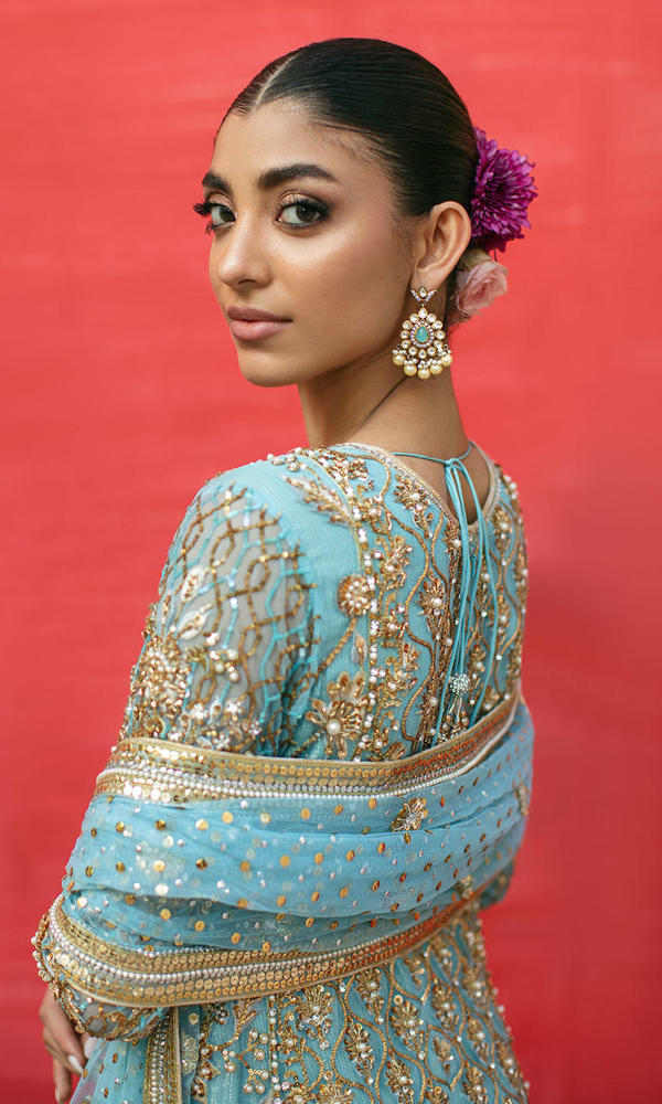 Blue Embroidered Net Salwar Kameez (3-Piece) - Image 5