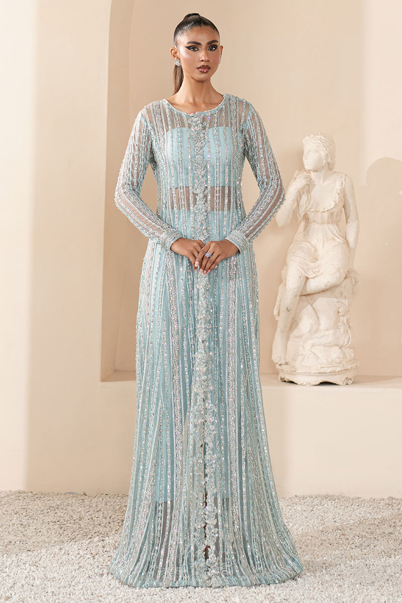 Sky Blue Embellished Net Salwar Kameez (3-Piece) - Image 2