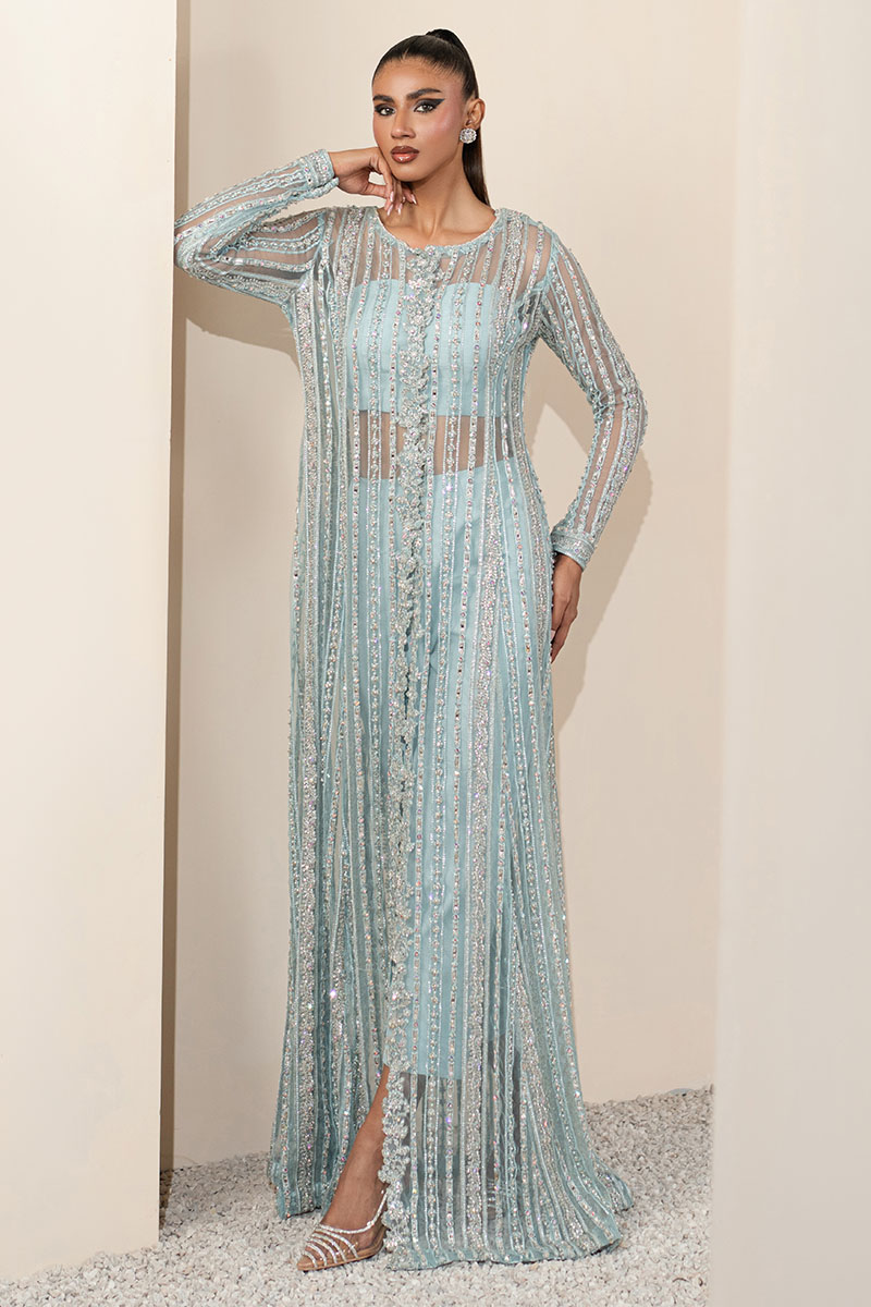 Sky Blue Embellished Net Salwar Kameez (3-Piece) - Image 4