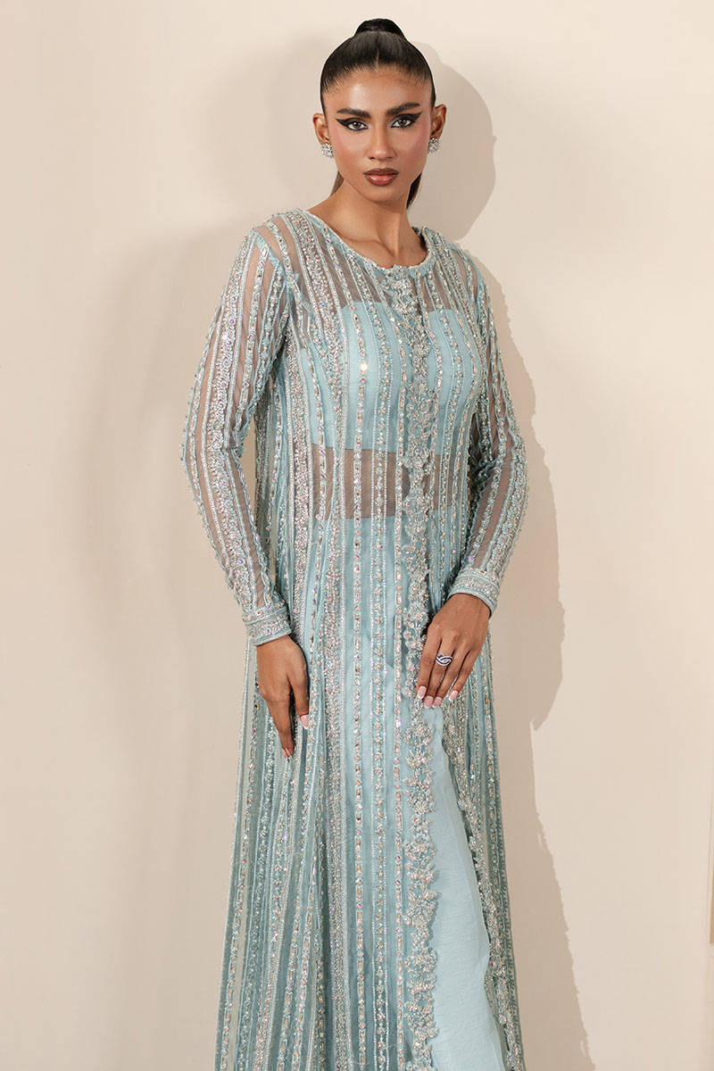 Sky Blue Embellished Net Salwar Kameez (3-Piece) - Image 5