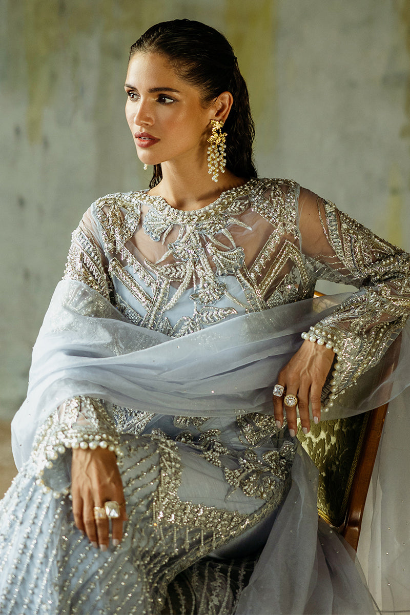 Pakistani Ice Blue Embroidered Net Salwar Kameez (3-Piece) - Image 13