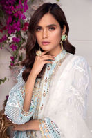 Sky Blue Kaamdani Organza Salwar Kameez (3-Piece) - Image 4