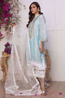 Sky Blue Kaamdani Organza Salwar Kameez (3-Piece) - Image 5