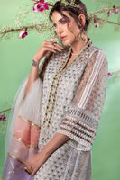 Pakistani Blue Kaamdani Organza Salwar Kameez (3-Piece) - Image 4