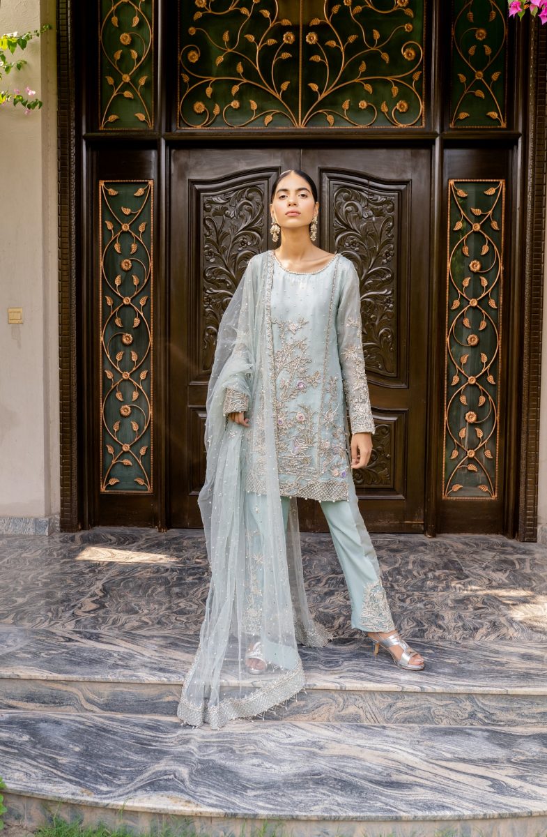 Powder Blue Hand-Embellished Organza Salwar Kameez (3-Piece) - Image 1