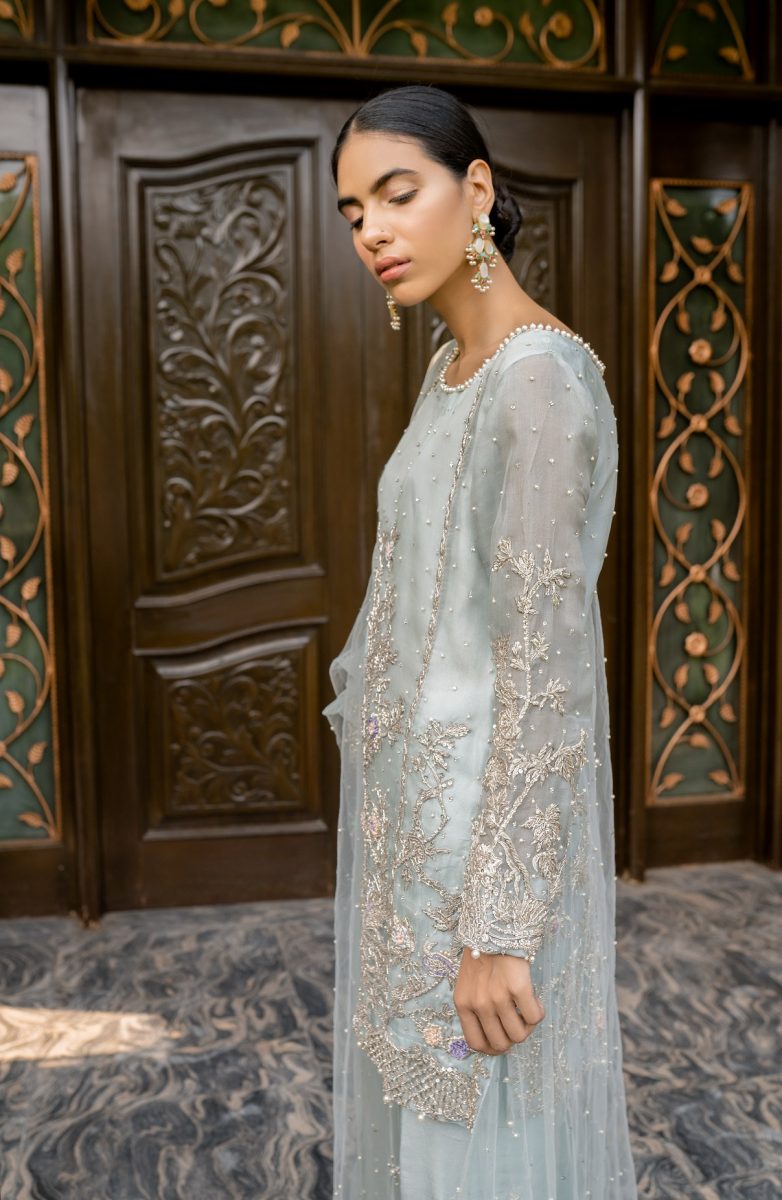 Powder Blue Hand-Embellished Organza Salwar Kameez (3-Piece) - Image 2