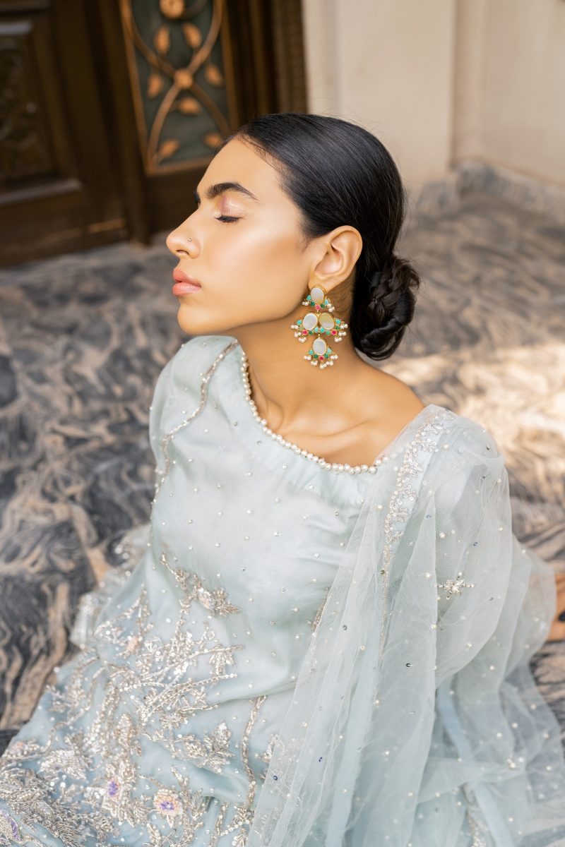 Powder Blue Hand-Embellished Organza Salwar Kameez (3-Piece) - Image 3