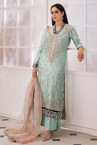 Pakistani Ice Blue Embroidered Organza Salwar Kameez (3-Piece) - Image 10