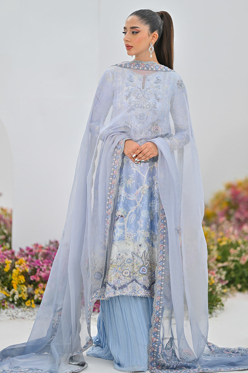 Periwinkle Embroidered Organza Net Salwar Kameez (3-Piece) - Image 5
