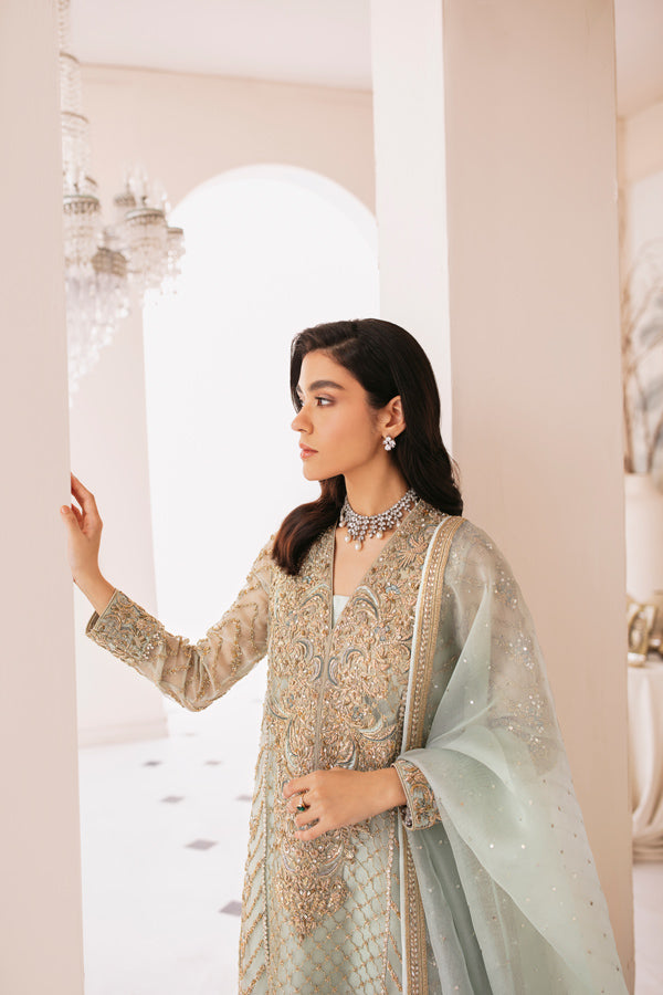 Light Blue Embellished Net Organza Salwar Kameez (3-Piece) - Image 2