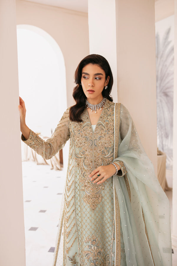 Light Blue Embellished Net Organza Salwar Kameez (3-Piece) - Image 3