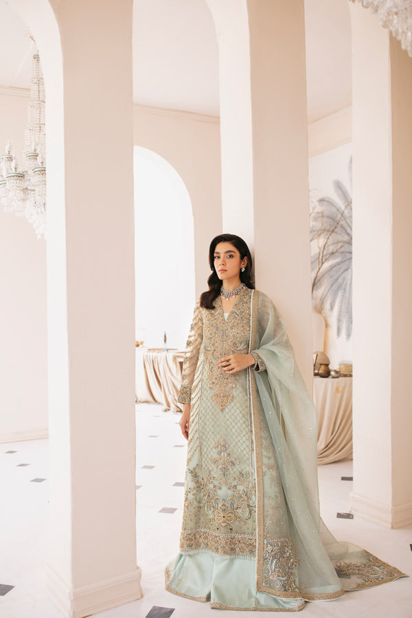 Light Blue Embellished Net Organza Salwar Kameez (3-Piece) - Image 4