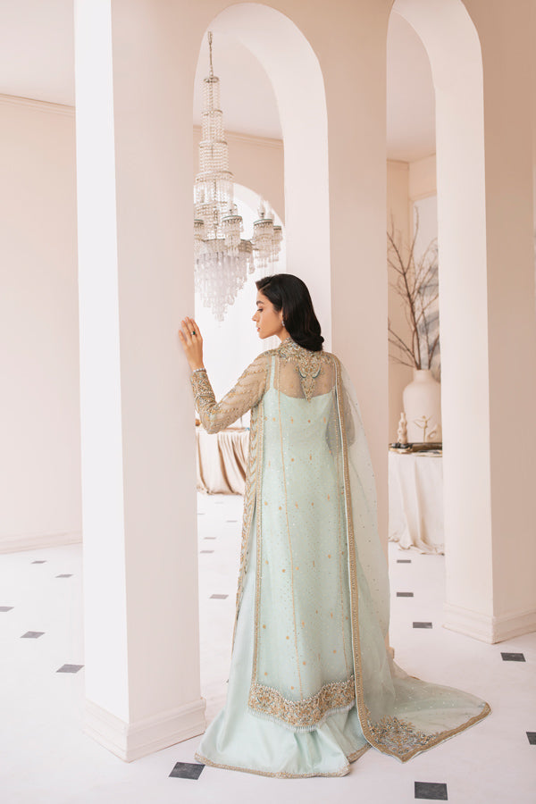 Light Blue Embellished Net Organza Salwar Kameez (3-Piece) - Image 5