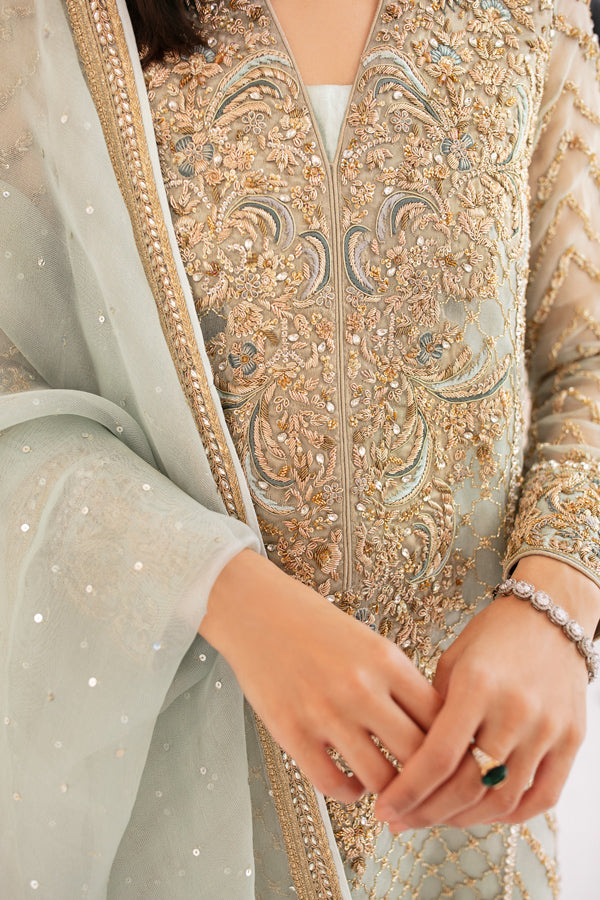 Light Blue Embellished Net Organza Salwar Kameez (3-Piece) - Image 6