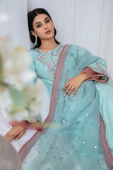 Sky Blue Embellished Korean Raw Silk Salwar Kameez (3-Piece) - Image 5
