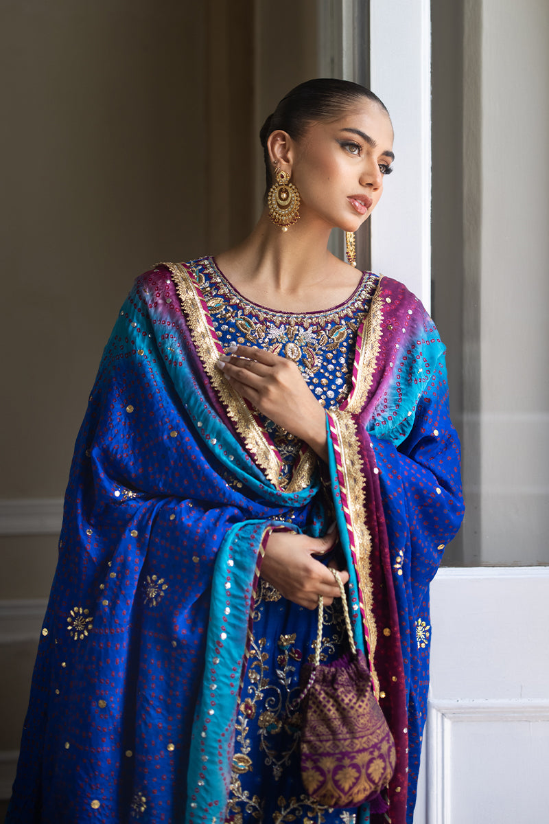 Royal Blue Hand-Embroidered Silk Net Salwar Kameez (3-Piece) - Image 7