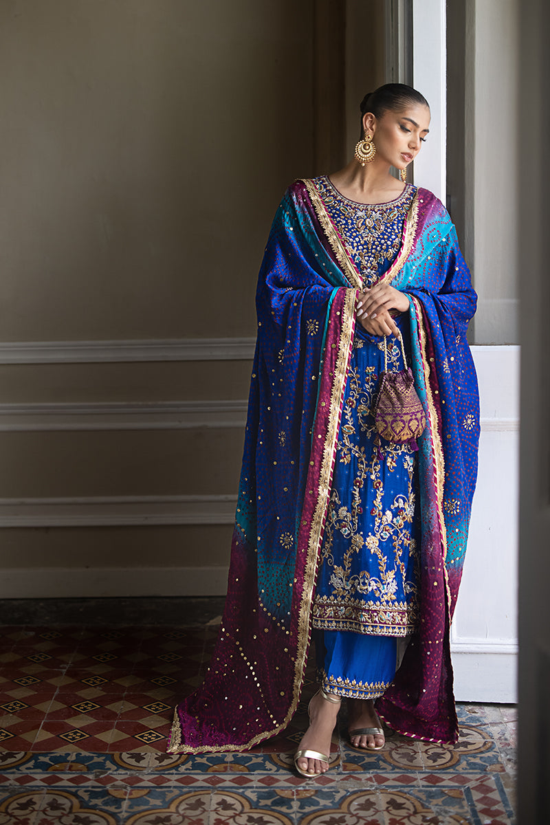 Royal Blue Hand-Embroidered Silk Net Salwar Kameez (3-Piece) - Image 8