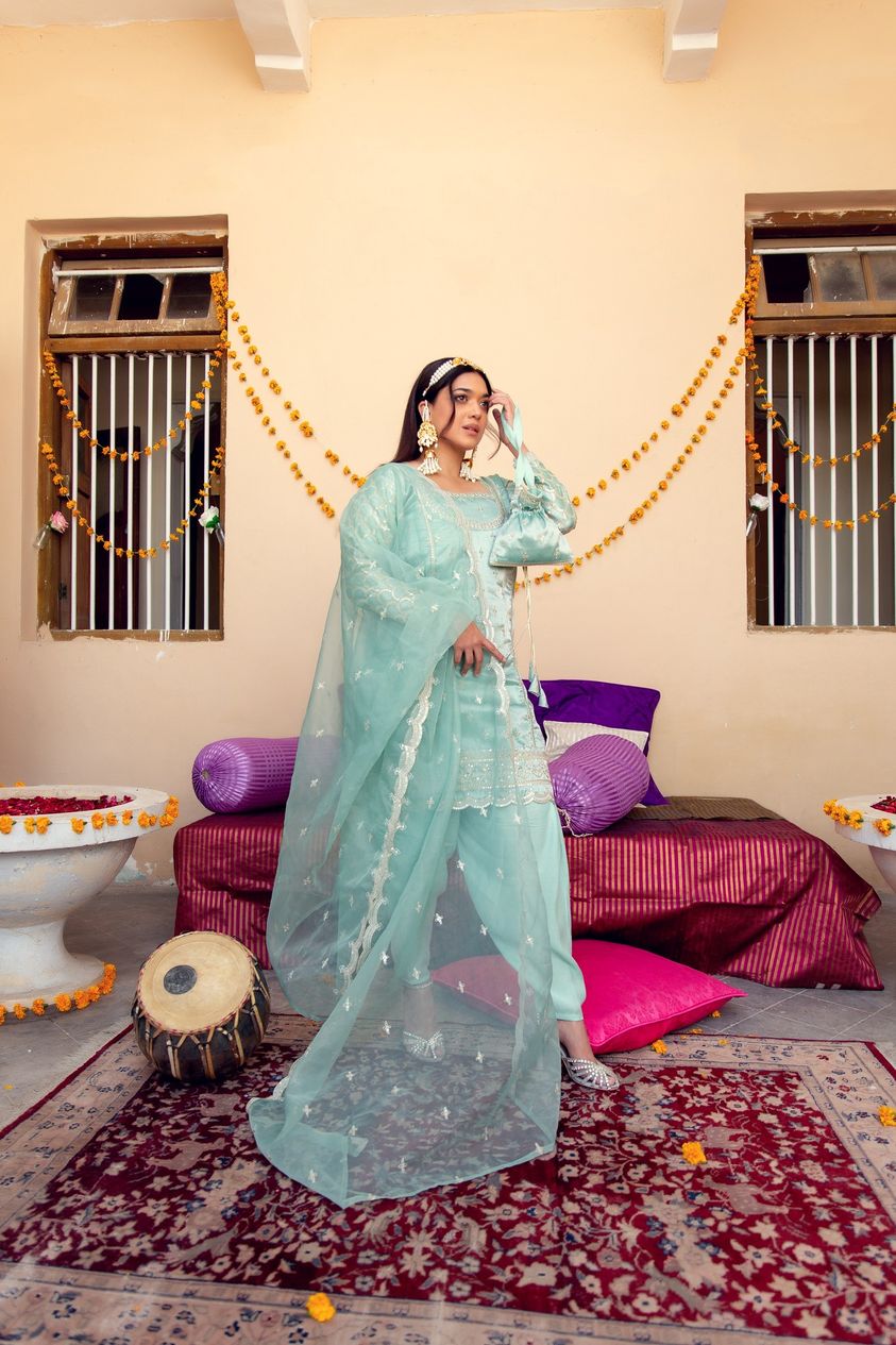 Pakistani Powder Blue Zari Tilla Tissue Salwar Kameez (3-Piece) - Image 8