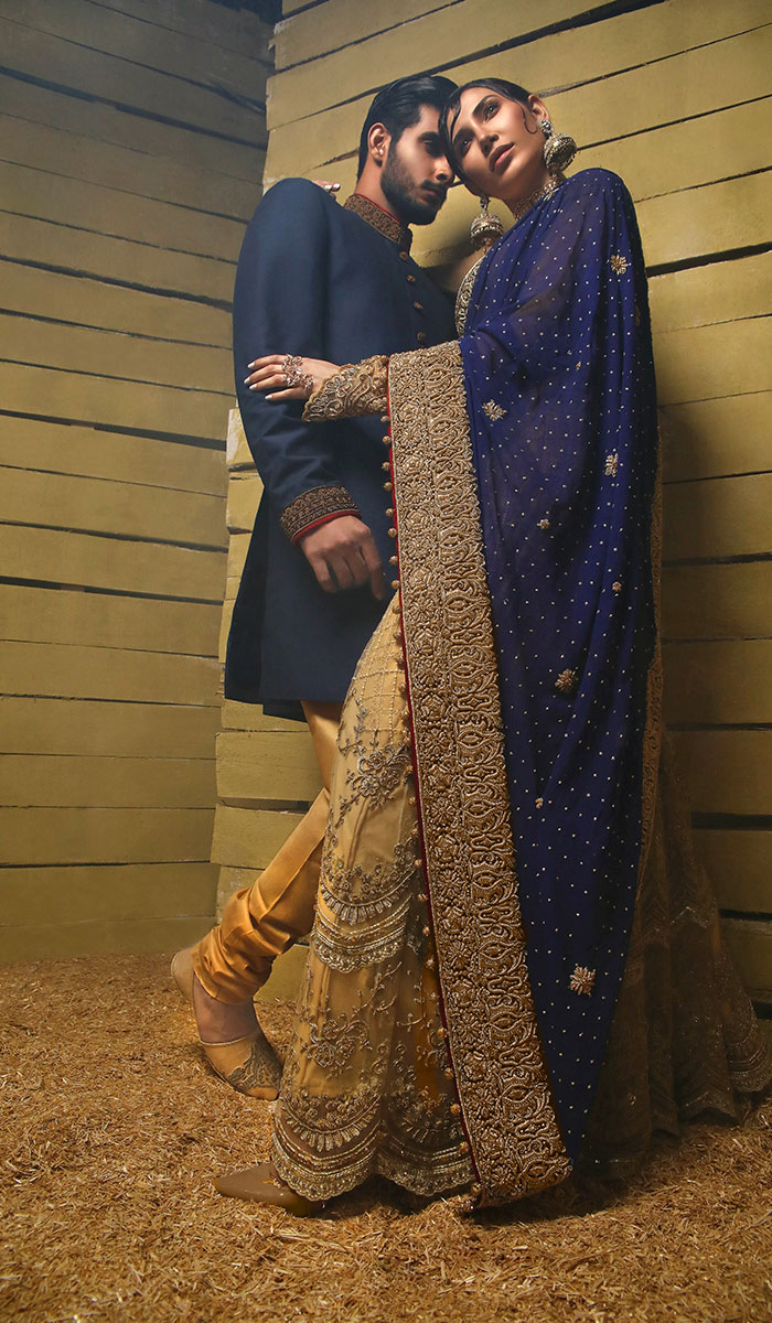 Deep Blue Gold Embroidered Net Saree (3-Piece) - Image 3