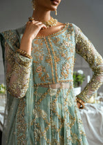 Pale Blue Embroidered Net Gown Sharara (3-Piece) - Image 4