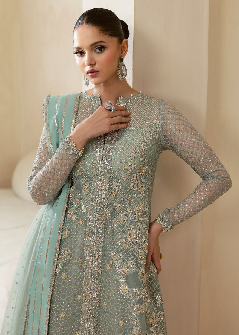 Powder Blue Embroidered Organza Sharara (3-Piece) - Image 2