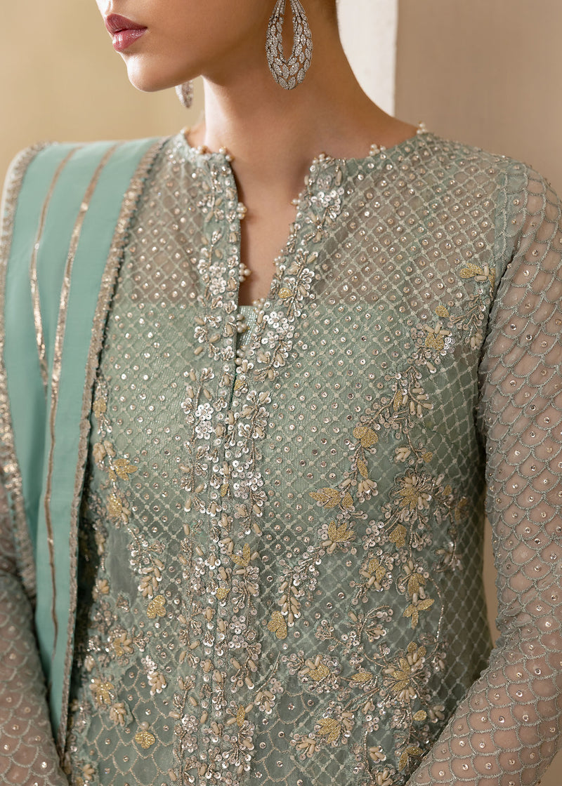 Powder Blue Embroidered Organza Sharara (3-Piece) - Image 3