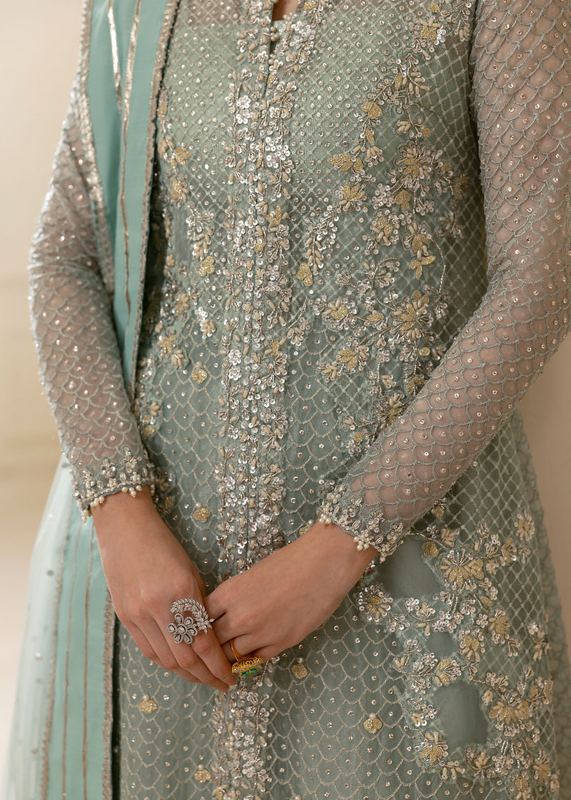 Powder Blue Embroidered Organza Sharara (3-Piece) - Image 5