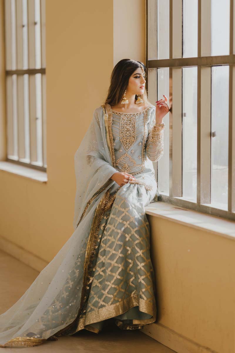 Ice Blue Embroidered Organza Sharara Dress (3-Piece) - Image 1