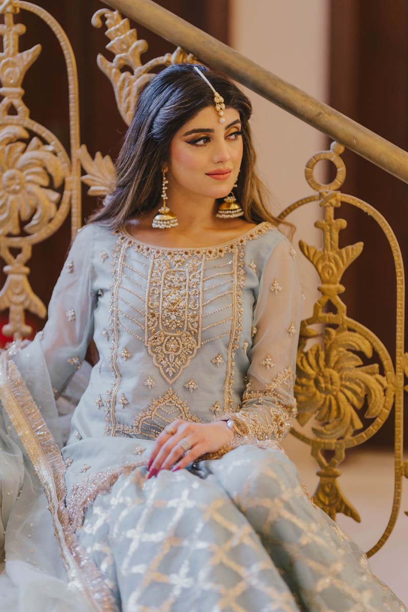Ice Blue Embroidered Organza Sharara Dress (3-Piece) - Image 3