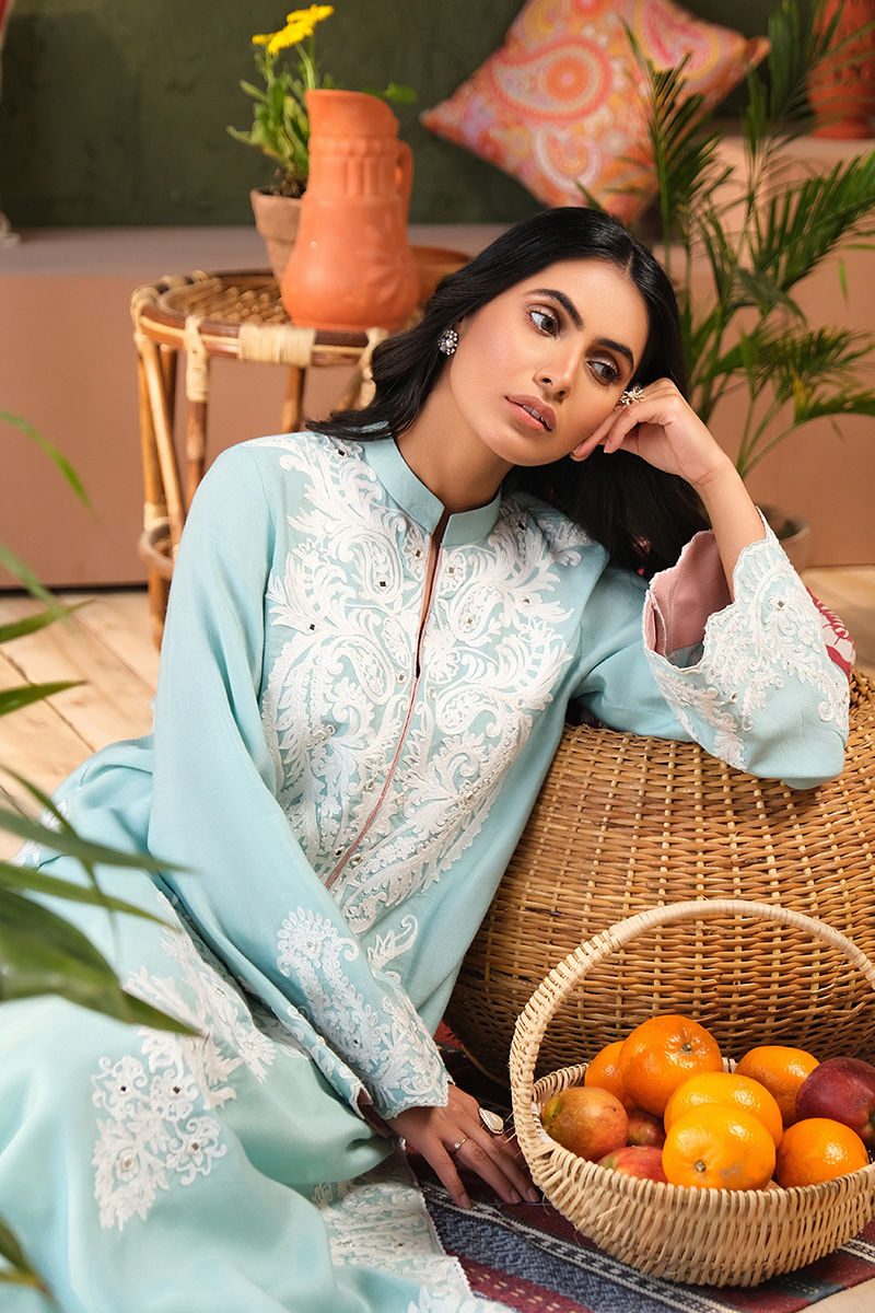 Light Blue Embroidered Cotton Net Salwar Kameez (3-Piece) - Image 3