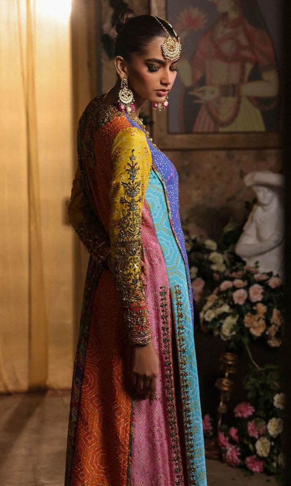 Pakistani Multi-Colour Chunri Embroidered Net Salwar Kameez (3-Piece) - Image 10